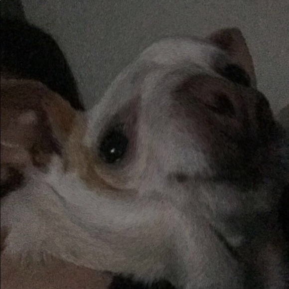 bribby777